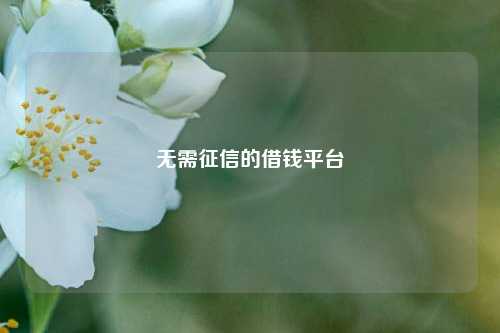 无需征信的借钱平台